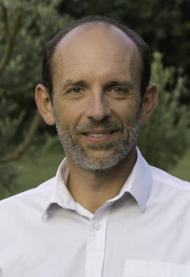 team image