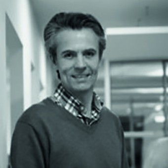 team image