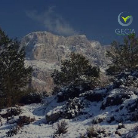 Gecia, experts comptables engagés en PACA